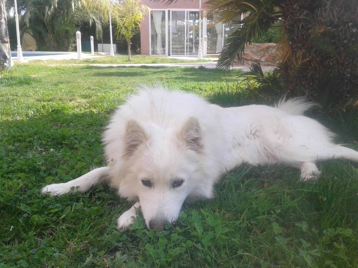 Los Jardines De Lola Daimes Luaran gambar