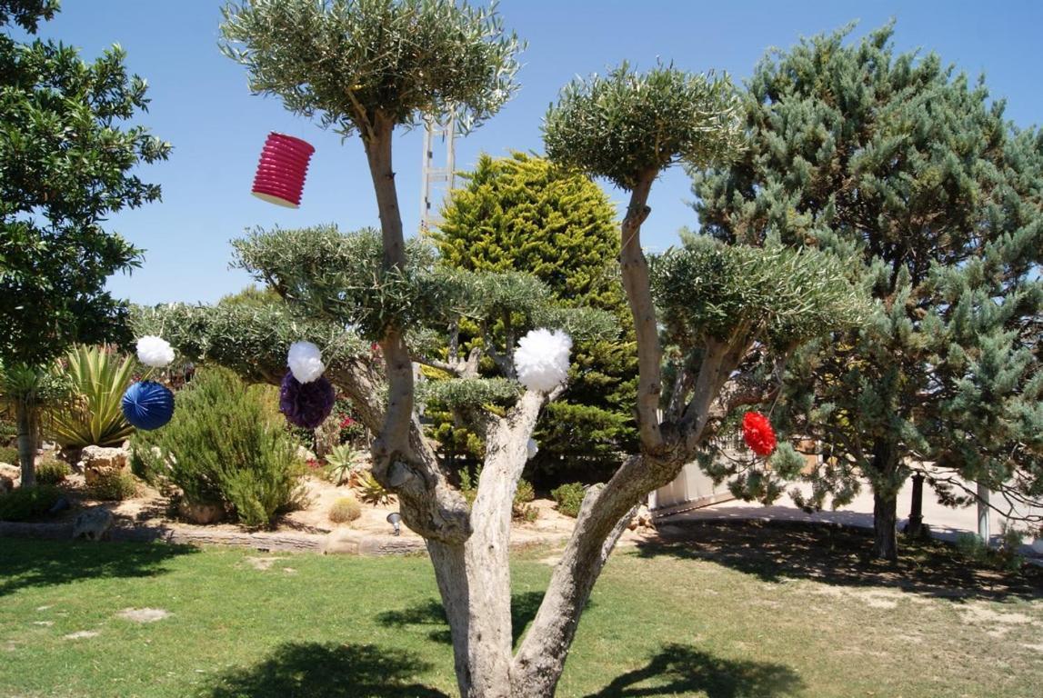 Los Jardines De Lola Daimes Luaran gambar
