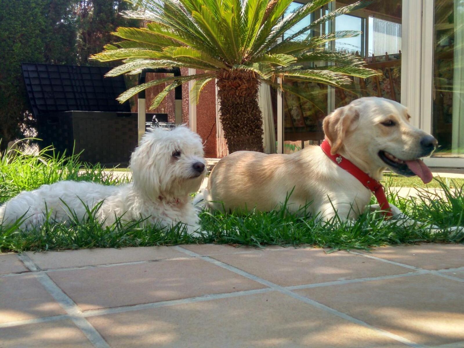Los Jardines De Lola Daimes Luaran gambar