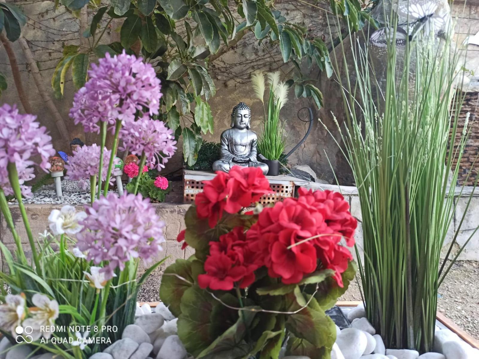 Los Jardines De Lola Daimes Luaran gambar