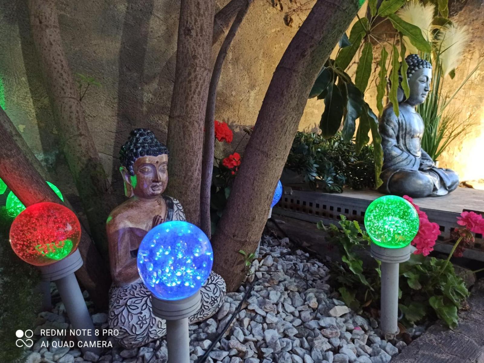 Los Jardines De Lola Daimes Luaran gambar